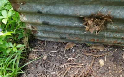 Much to discover……